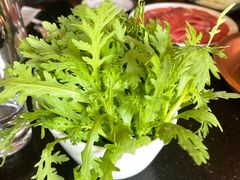 -南门涮肉(通州大船店)