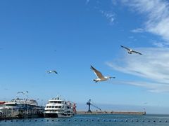 -海驴岛(荣成市)