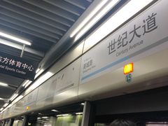 -麦新格精品酒店(上海浦东机场川沙迪士尼店)