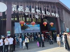 -青藏高原野生动物园