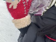 -沈阳奥体冰雪嘉年华