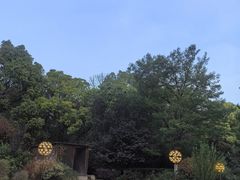 -世纪缘湖滨花园酒店(玄武湖店)