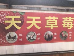 -青浦采草莓天天草莓园