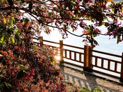 -长白岛森林公园