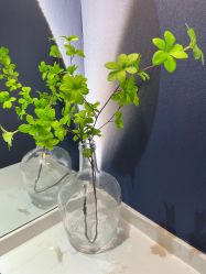 -Lily纤美·科技减脂中心