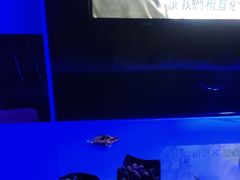 -星歌汇PARTY KTV•观澜兴万达店