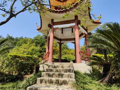 -深圳仙湖植物园