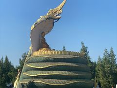 -洛阳白马寺