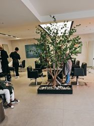 点击看大图 -付军剪艺JF ProSalon