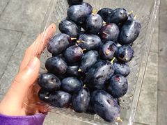 -e佳鲜果(四方坪店)