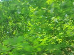 -栾川竹海野生动物园