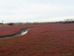 -红海滩国家风景廊道