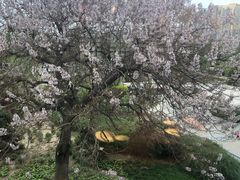-不二茶空间·养生宴(石景山店)