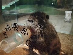 -zoonana室内动物园(东方福来德店)