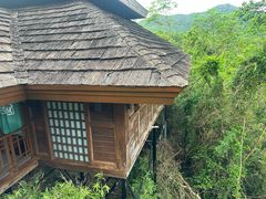 -三亚亚龙湾人间天堂鸟巢度假村