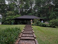 -武吉知马自然保护区