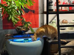 -鸣鹤古镇