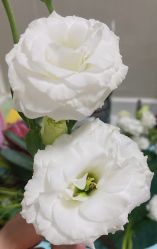 -Oasis Beauty水磨坊科技美肤中心