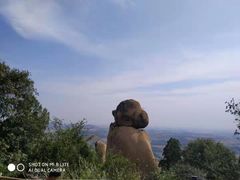 -嵖岈山风景区