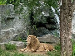 -北京野生动物园