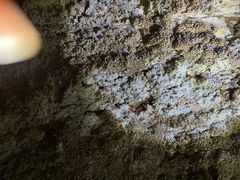 -浮戏山雪花洞风景名胜区