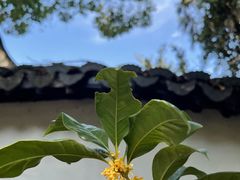 -惠山古镇·寄畅园