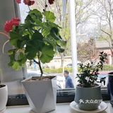 家门口的新疆餐馆，吃了好几年，味道依旧没变