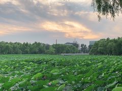 -长春市南湖公园