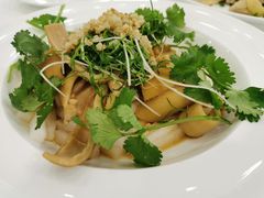 鲜沙姜捞羊肚-新兴家喻酒家·羊城名宴(昌岗店)