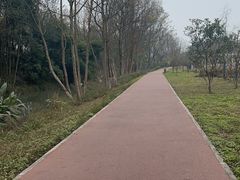 -桤木河湿地公园