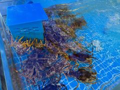 -香融府·烤鸭·家常菜(马家堡路店)