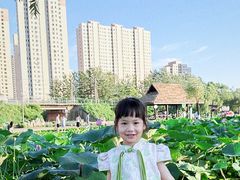 -前关湿地公园