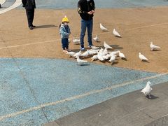 -烟台海昌鲸鲨海洋公园