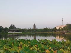 -西海子公园