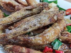 -阿钊浮豆腐