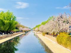 -海棠花溪(元大都城垣遗址公园)