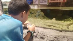 -Zoolung Zoolung动物主题公园(海信广场店)