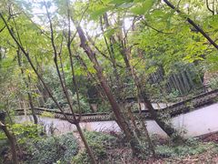 -上海佘山国家森林公园天马山园