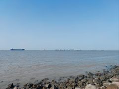 -上海滨江森林公园