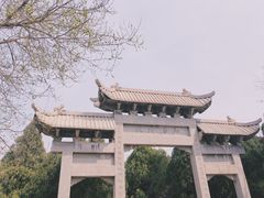 -原山国家森林公园