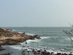 -广东惠东海龟国家级自然保护区