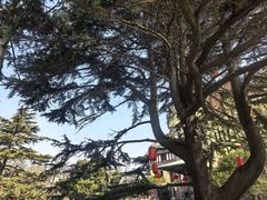 -青岛德国总督楼旧址博物馆