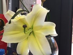 -澳莱酷品牛扒(开平东汇城店)