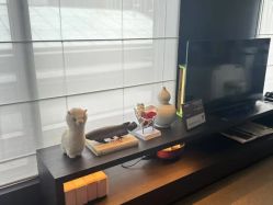 -茉莉智慧母婴护理中心(瑰丽店)