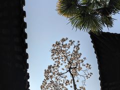 -何园