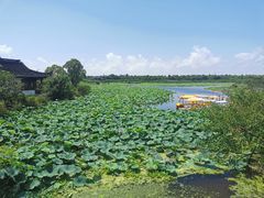 -上海海湾国家森林公园