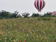 -歌斐颂巧克力小镇