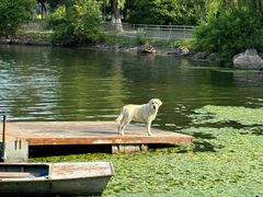 -长春市南湖公园