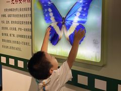 -上海昆虫博物馆