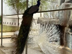 -兴芮温泉度假区